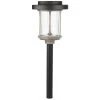 20 Lumens Solar 2-Tone Black and Gray Finish Diecast LED Landscape Pathway Light with Seedy Glass Lens and Vintage Bulb by Hampton Bay