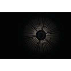 Solar 5 Lumens Black Integrated LED Landscape Path Light with Ribbed Lens (10-Pack); Weather/Rust Resistant by Hampton Bay -Hampton Bay Sales black hampton bay path lights 84198 a0 1000