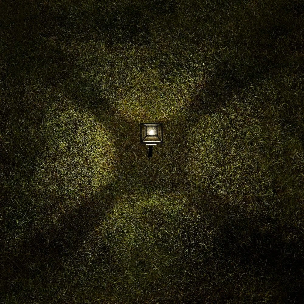 Warrenton Solar Black LED Path Light 13 Lumens, Glass Top with Bulb, Seedy Glass with Vintage Bulb (4-Pack) by Hampton Bay 4 Warrenton Solar Black LED Path Light 13 Lumens, Glass Top with Bulb, Seedy Glass with Vintage Bulb (4-Pack) by Hampton Bay - Image 4