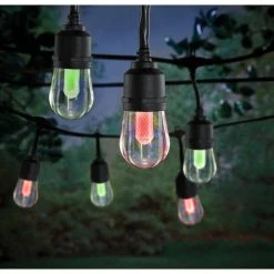 Outdoor/Indoor 24 ft. Smart Hubspace Plug-in Edison Bulb RGBW Color Changing LED String Light (12-Bulb) by Hampton Bay 15 Outdoor/Indoor 24 ft. Smart Hubspace Plug-in Edison Bulb RGBW Color Changing LED String Light (12-Bulb) by Hampton Bay -Hampton Bay Sales black hampton bay smart outdoor lighting hb 10521 hs 40 1000