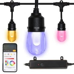 Outdoor/Indoor 24 ft. Smart Hubspace Plug-in Edison Bulb RGBW Color Changing LED String Light (12-Bulb) by Hampton Bay