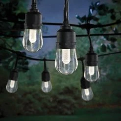 Outdoor/Indoor 24 ft. Smart Hubspace Plug-in Edison Bulb RGBW Color Changing LED String Light (12-Bulb) by Hampton Bay 16 Outdoor/Indoor 24 ft. Smart Hubspace Plug-in Edison Bulb RGBW Color Changing LED String Light (12-Bulb) by Hampton Bay -Hampton Bay Sales black hampton bay smart outdoor lighting hb 10521 hs a0 1000