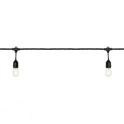 12-Light Indoor/Outdoor 24 ft. Plug-In Incandescent Edison Bulb String Light by Hampton Bay