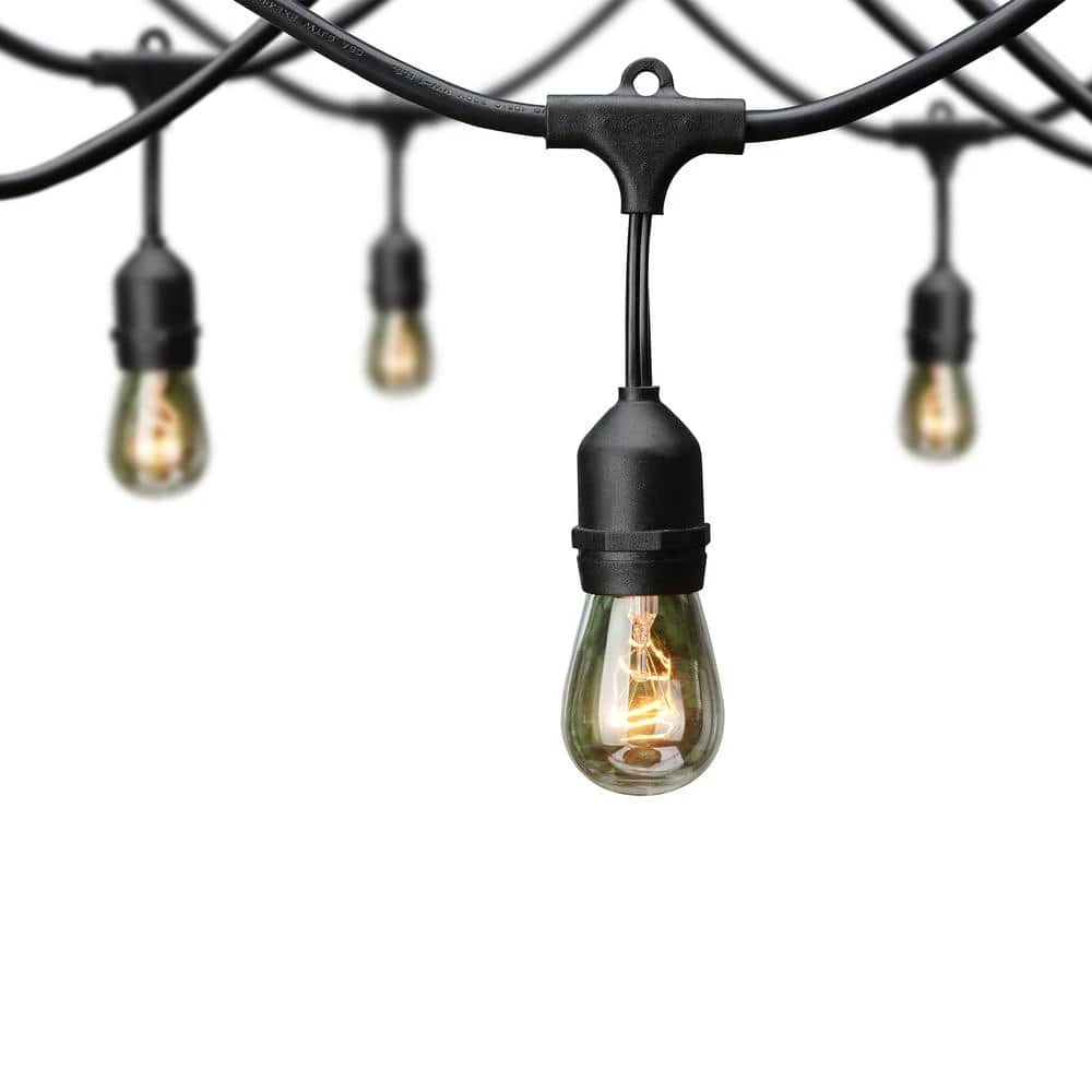 12-Light Indoor/Outdoor 24 ft. Plug-In Incandescent Edison Bulb String Light by Hampton Bay 5 12-Light Indoor/Outdoor 24 ft. Plug-In Incandescent Edison Bulb String Light by Hampton Bay - Image 5