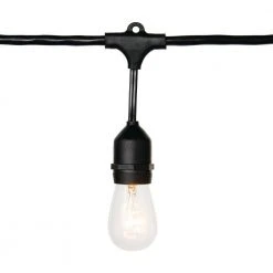 12-Light Indoor/Outdoor 24 ft. Plug-In Incandescent Edison Bulb String Light by Hampton Bay 12 12-Light Indoor/Outdoor 24 ft. Plug-In Incandescent Edison Bulb String Light by Hampton Bay -Hampton Bay Sales black hampton bay string lights 2416j2 1 c3 1000