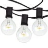 Outdoor 25 ft. Plug-in Globe LED G40 Bulb String-Light (25-Bulbs) by Hampton Bay