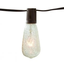 Outdoor/Indoor 10 ft. Plug-In Incandescent ST40 Crackle Bulb String Light (2-Pack) by Hampton Bay