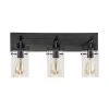 Regan 21 in. 3-Light Espresso Bronze Bathroom Vanity Light with Clear Glass Shades by Hampton Bay