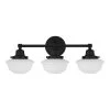Belvedere Park 23.25 in. 3-Light Espresso Bronze Farmhouse Bathroom Vanity Light with Frosted Glass Shades by Hampton Bay