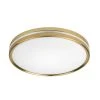 ASHBURROW 15 in. Gold Selectable LED Flush Mount with Night Light by Hampton Bay