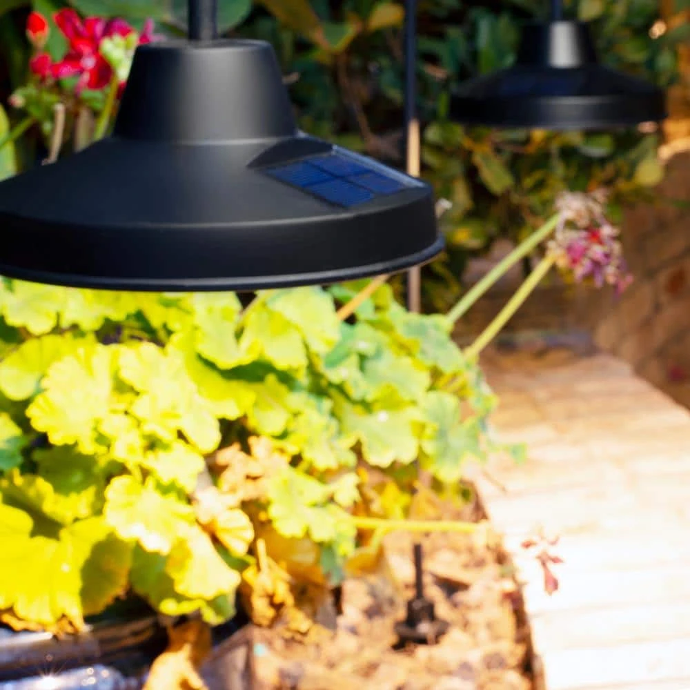 Covington Solar 15 Lumens Matte Black Integrated LED Modern Farmhouse Path Light (2-Pack); Weather/Water/Rust Resistant by Hampton Bay 4 Covington Solar 15 Lumens Matte Black Integrated LED Modern Farmhouse Path Light (2-Pack); Weather/Water/Rust Resistant by Hampton Bay - Image 4