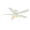 Roanoke 48 in. LED Indoor/Outdoor Matte White Ceiling Fan with Light Kit by Hampton Bay