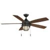 Seaport 52 in. LED Indoor/Outdoor Natural Iron Ceiling Fan with Light Kit by Hampton Bay