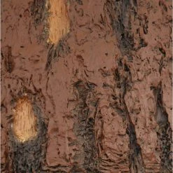 Lodge 52 in. LED Nutmeg Ceiling Fan with Light and Remote Control by Hampton Bay -Hampton Bay Sales nutmeg hampton bay ceiling fans with lights yg098b nm 1f 1000